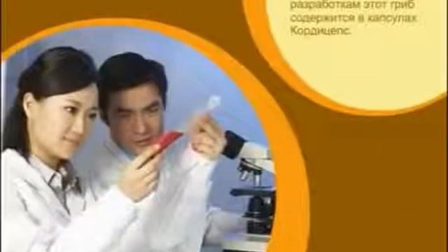 Капсулы Тяньши с мицелием кордицепса, Кордицепс