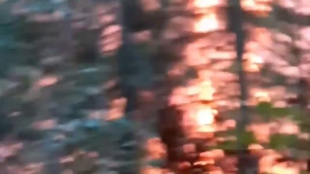 #ГлазамиМЧС – лесные пожары на севере Томской области