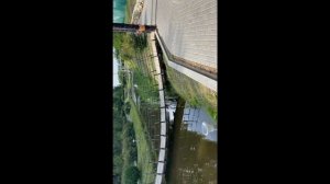 Поселок Шаховская / Благоустройство / Парк