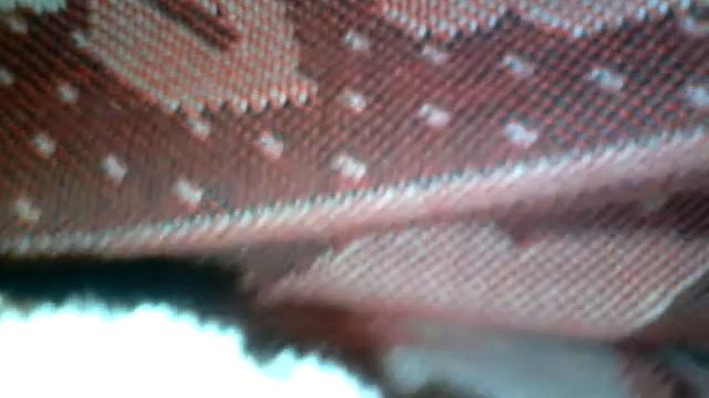 Гномик исполняющий желания, он существует? смотреть онлайн