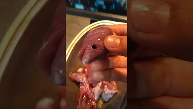 Как готовить зайца смотреть онлайн