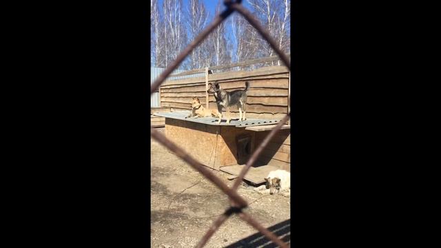 День открытых дверей 22 апреля. смотреть онлайн