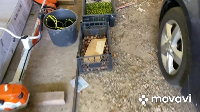 Обновленный картофель (Результат)