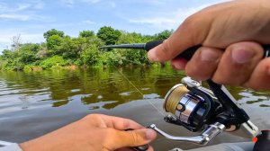 ЭТА маленькая ХИТРОСТЬ, ПОЗВОЛИЛА НАЛОВИТЬ СУДАКОВ. Рыбалка на спиннинг в 2024