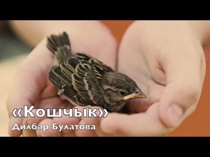 «Кошчык» Дилбәр Булатова