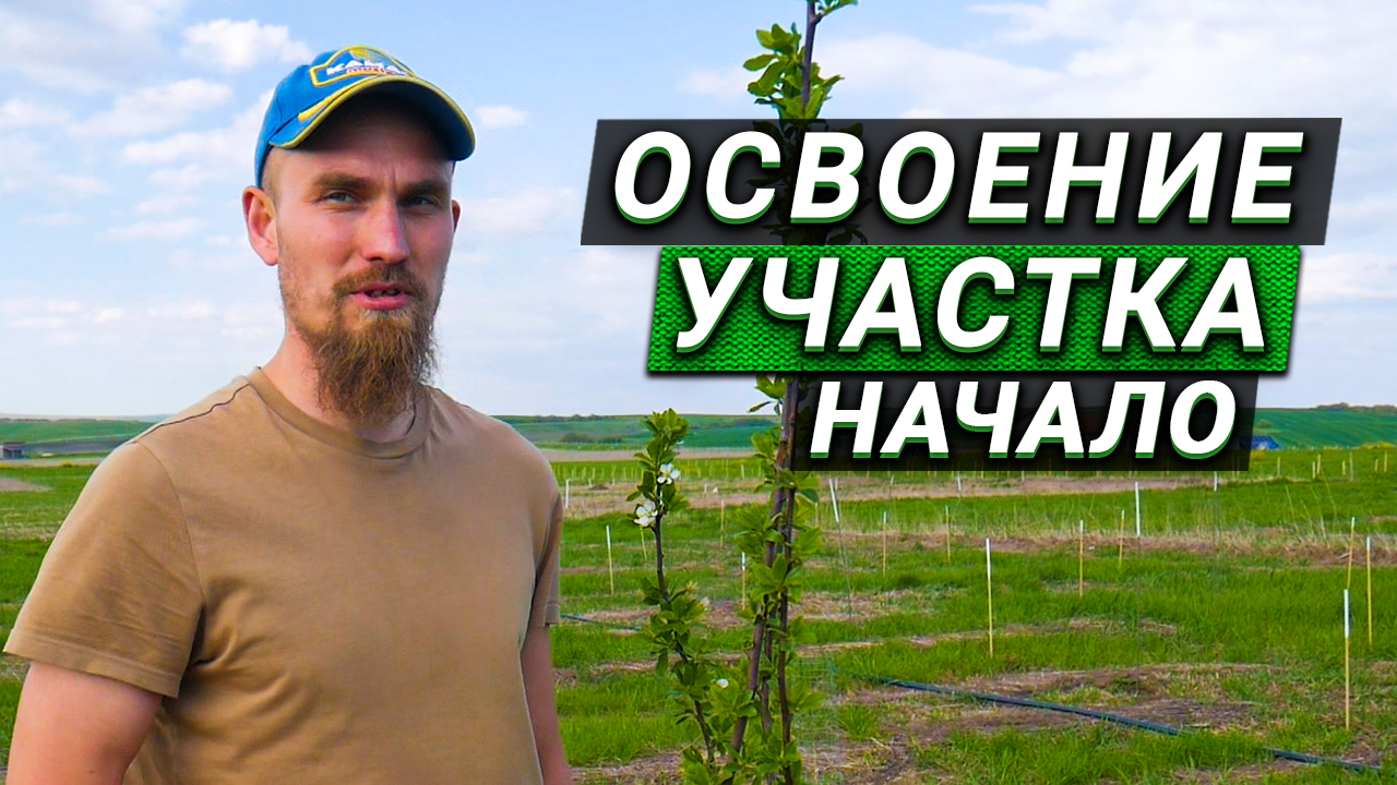 С чего начать освоение участка под родовое поместье?