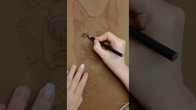как нарисовать собаку углем? #art #sketch #artwork #animal #рисунок #illustration #sketchbook смотреть онлайн