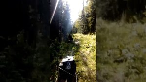 мото-собака. техника класс!!!