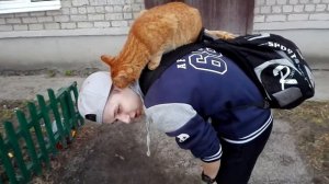 Кот напал на человека! УЖАС. Теперь я боюсь котов. Ну, блин, теперь кофту стирать...