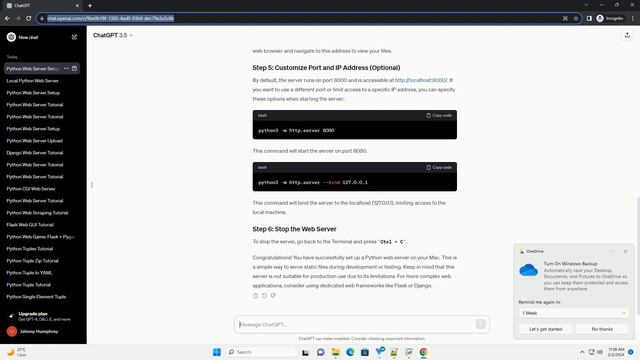 python web server mac