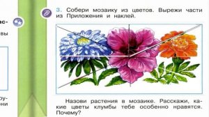 Окружающий мир. Рабочая тетрадь 1 класс 1 часть. ГДЗ стр. 14 №3
