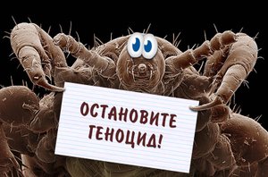 Блохи.Избавление.
