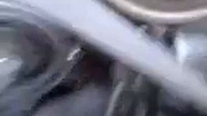 ГРМ Приора 41600: 10000 км. на DAYCO ATB2544 и KOYO-опорник.