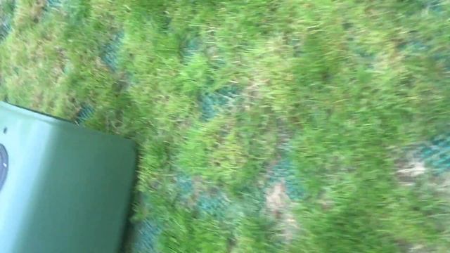 SETTING UP A WORMERY - STAGE 2 смотреть онлайн