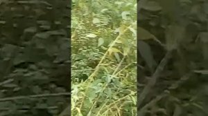 Мигранты в городе Котельники беспредел