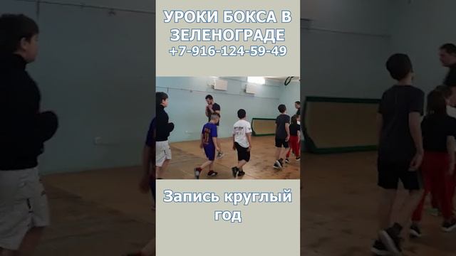 Уроки бокса в Зеленограде. Запись круглый год