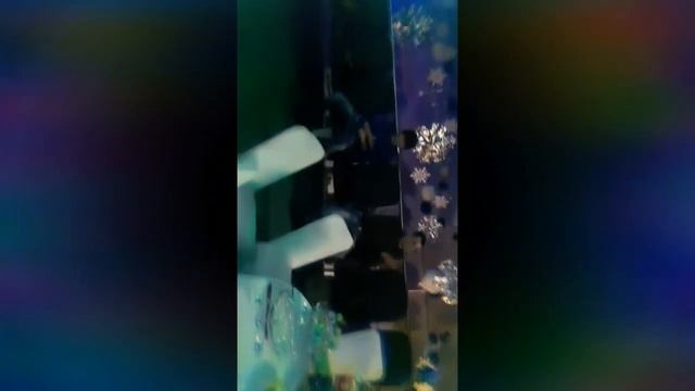 Корпоратив 2019