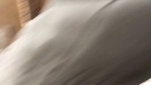 Как доить первокотку. Особенности и тонкости. Новый способ//how to milk a goat