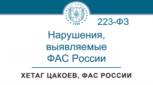 Основные нарушения, выявляемые ФАС России при контроле по Закону № 223-ФЗ, 09.11.2023