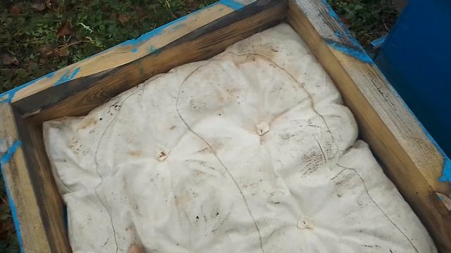 Пасека 16 ноября. смотреть онлайн