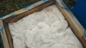 Пасека 16 ноября.