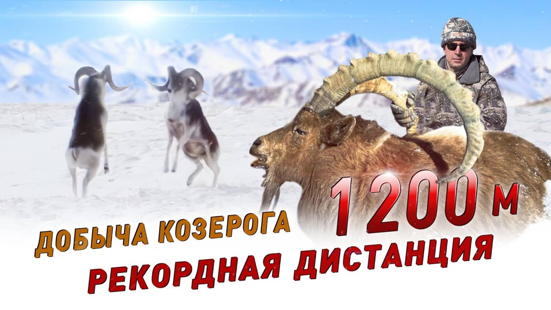 Трофейная охота на Памире. Памирский козерог (Рекордный выстрел на 1200 м.)