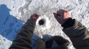 2024 февраль ЛЕЩ,СИНЕЦ,ГУСТЕРА и ЩУКА на ГИРЛЯНДУ! Рыбалка в Беларуси.Припять! Глухозимье!