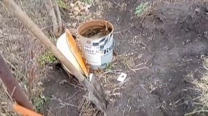 Посеяла семена моркови под зиму 27 октября 2020г