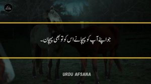 Jab Koi Dostey Ko Todana Chata Ho To Sub Say Phaly - Deep Quotes - Hazrat Soleiman (A.S)