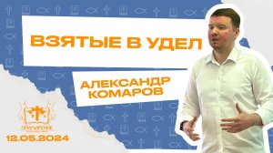 Взятые в удел | Александр Комаров