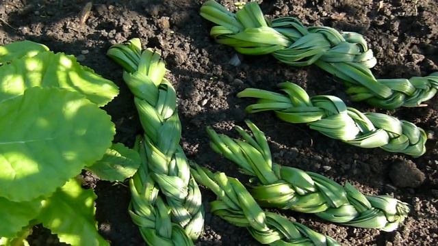 Пришла пора плести косички ))!!! смотреть онлайн