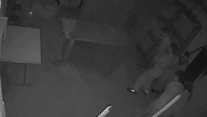 Ужас, куда отправила ребенка….  / Квест Кошмар