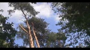 Жора Чембарский - Где   то всюду