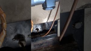 2 ремонт газ.автоматики Каре (продовження)