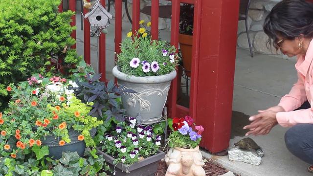 Spring Flowers 2018  Front Porch Flowers Tour
