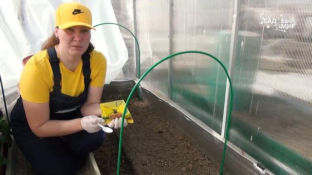 Медведка проснулась! Как защитить молодые растения от медведки смотреть онлайн