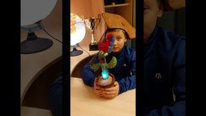 ОБЗОР НА ТАНЦУЮЩИЙ КАКТУС👌😜 🌵 ПОЁТ И ТАНЦУЕТ!