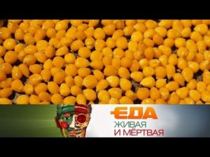 "Еда живая и мёртвая": все о кукурузе, полезные десерты и правда о холестерине (11.11.2017)