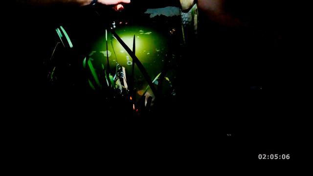 Карп, карась, голавль на макушатник. Рыбалка на Южном Буге. смотреть онлайн