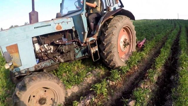 #МТЗ регулируем вом отбора мощности и Окучиваем кортофель смотреть онлайн