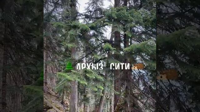 ?АРХЫЗ СИТИ. Софийская поляна. поляна Таулу. Архыз. ? смотреть онлайн