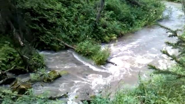 Южный Урал, приток реки Сим смотреть онлайн