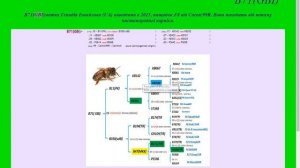 Пример добавления родословной с предками не представленными в системе - Электронный журнал пчеловод