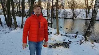 Выездной семинар 2016 Гиберт смотреть онлайн