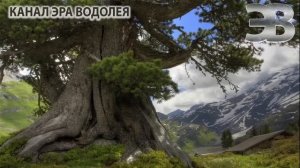 Медитация Набор энергии и Заземление