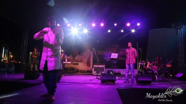 Avid experience - Celebration of life смотреть онлайн