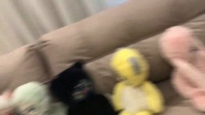 Лори колори