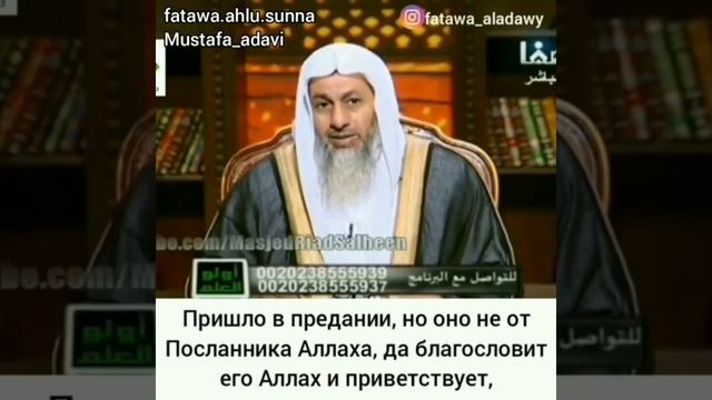 Обязательно ли женщине для чтения Корана одевать платок? Шейх Мустафа Аль-адавы