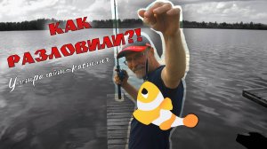 КАК РАЗЛОВИЛИ?! Ультралайт-кастинг. Учусь ловле на мультипликаторную катушку со сверхлегкими весами