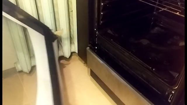 Как легко снять и разобрать дверцу от духовки газовой плиты Hansa, Kaiser, Gorenje смотреть онлайн